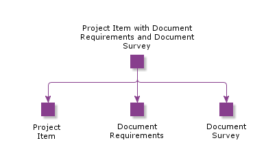 ProjectItemWithDocumentRequirementsAndDocumentSurvey